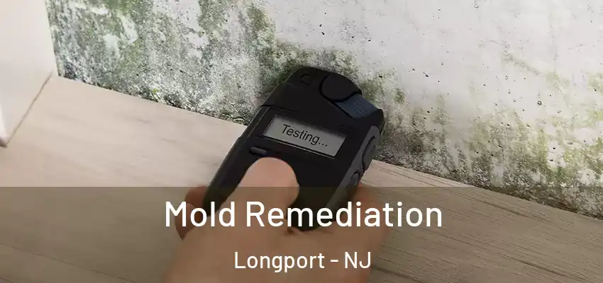  Mold Remediation Longport - NJ