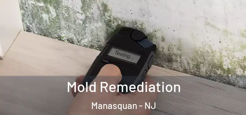 Mold Remediation Manasquan - NJ