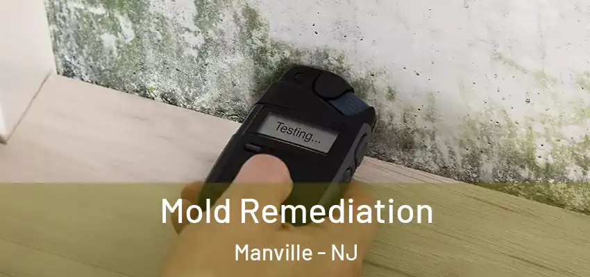 Mold Remediation Manville - NJ