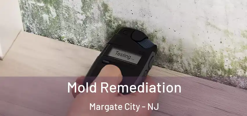  Mold Remediation Margate City - NJ