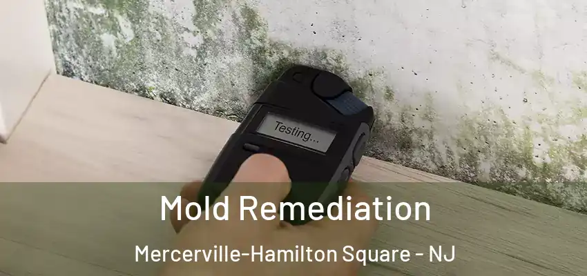 Mold Remediation Mercerville-Hamilton Square - NJ