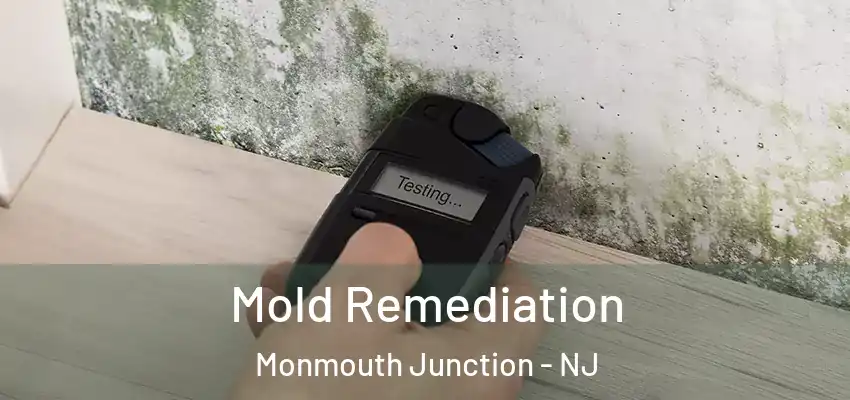  Mold Remediation Monmouth Junction - NJ