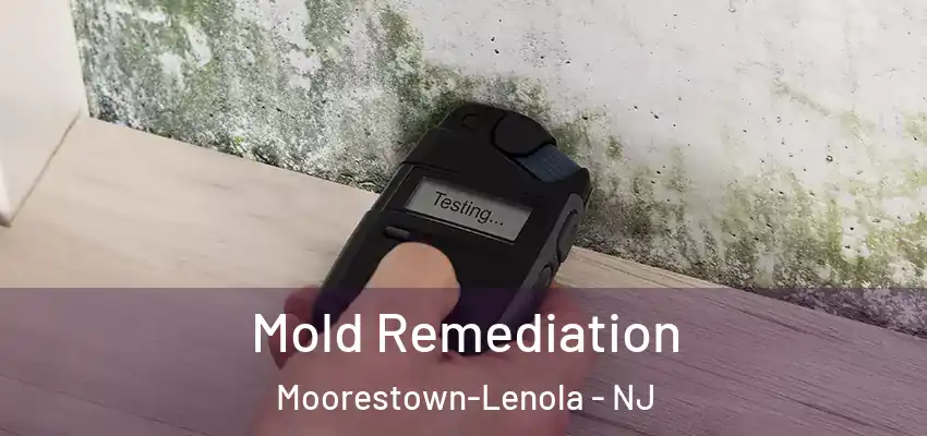 Mold Remediation Moorestown-Lenola - NJ