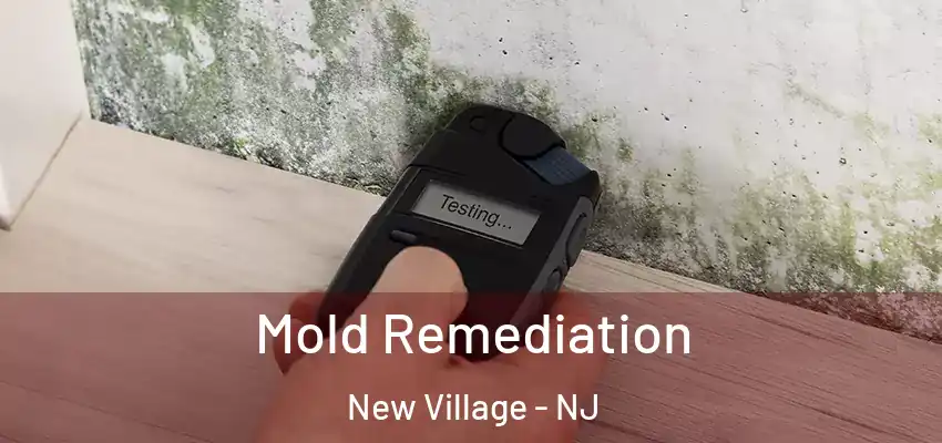  Mold Remediation New Village - NJ
