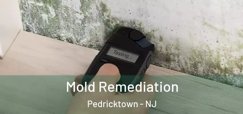  Mold Remediation Pedricktown - NJ