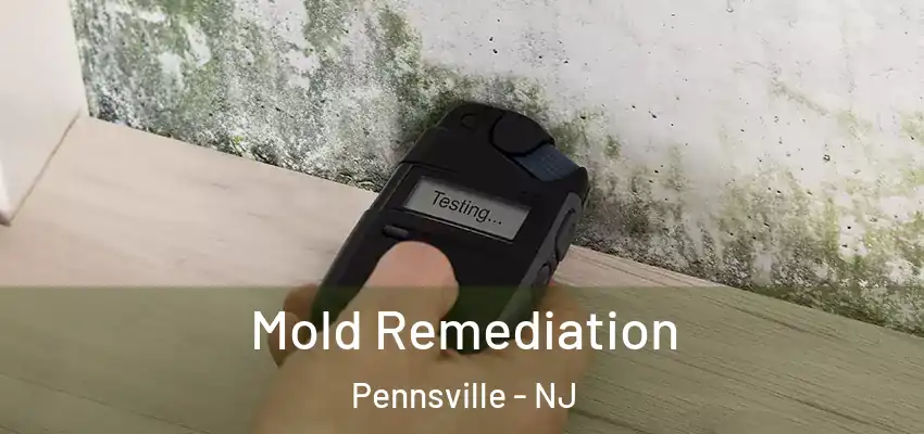  Mold Remediation Pennsville - NJ