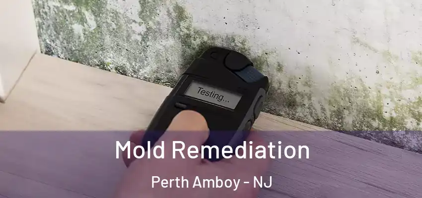 Mold Remediation Perth Amboy - NJ