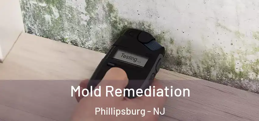 Mold Remediation Phillipsburg - NJ