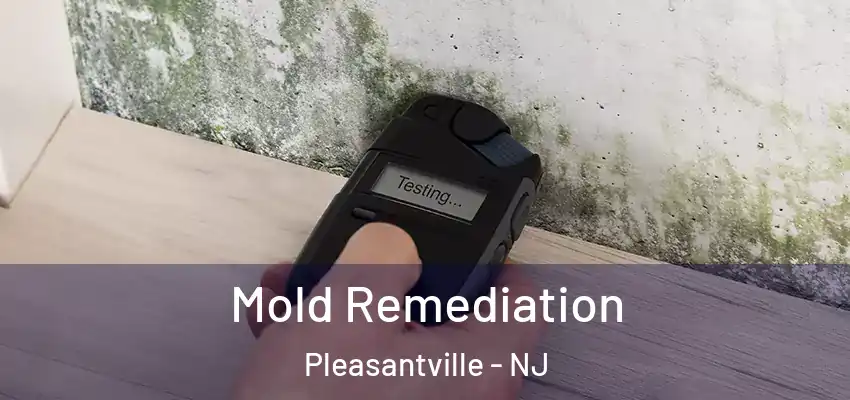 Mold Remediation Pleasantville - NJ