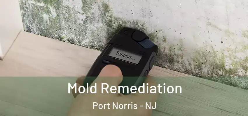 Mold Remediation Port Norris - NJ