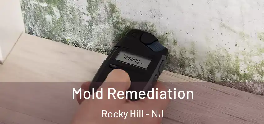  Mold Remediation Rocky Hill - NJ