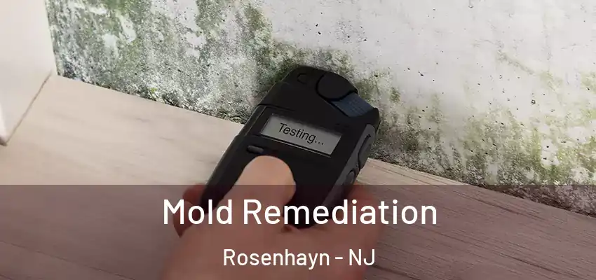 Mold Remediation Rosenhayn - NJ