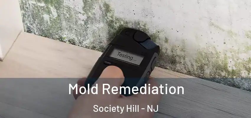  Mold Remediation Society Hill - NJ