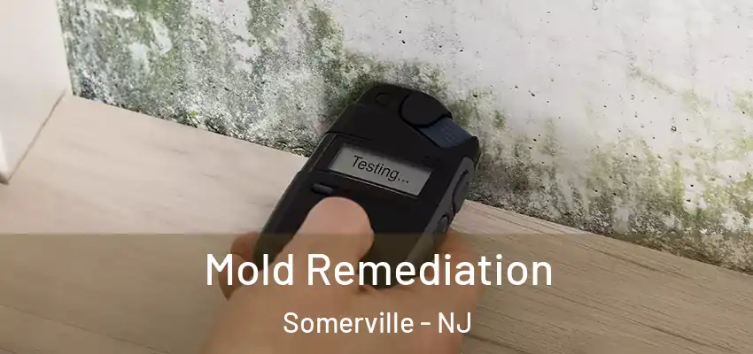  Mold Remediation Somerville - NJ