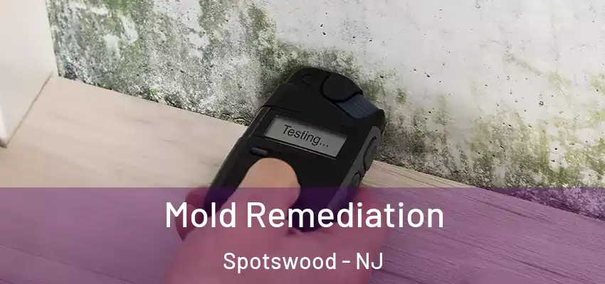  Mold Remediation Spotswood - NJ