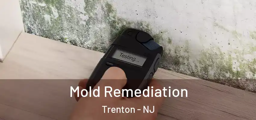 Mold Remediation Trenton - NJ