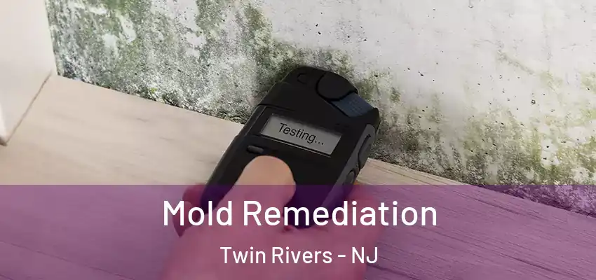  Mold Remediation Twin Rivers - NJ