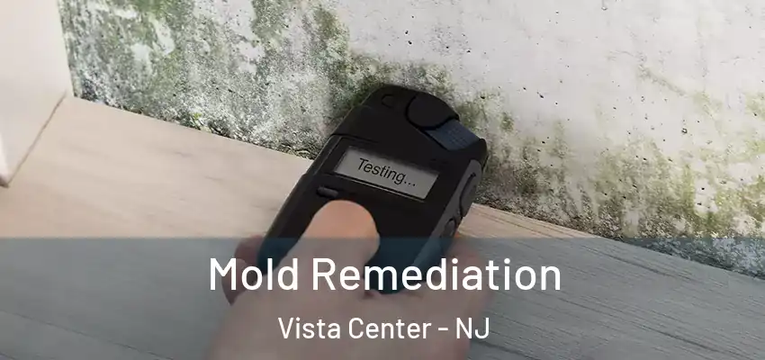 Mold Remediation Vista Center - NJ