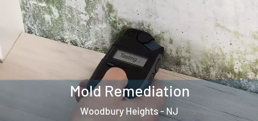 Mold Remediation Woodbury Heights - NJ