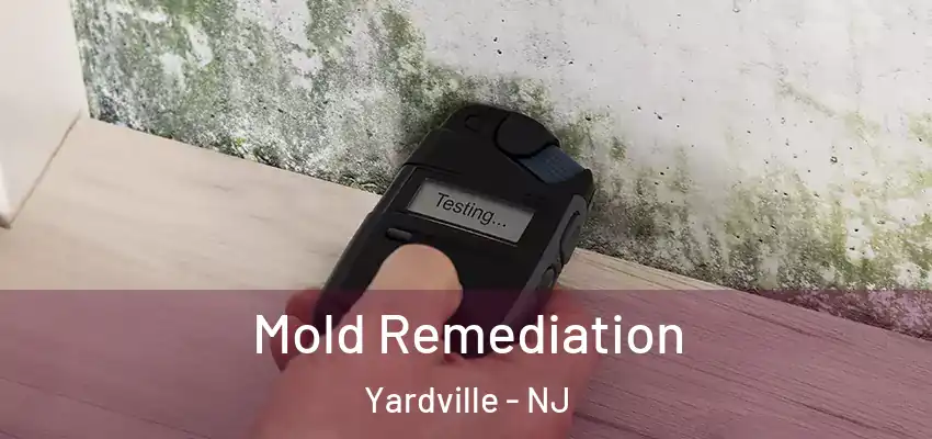  Mold Remediation Yardville - NJ