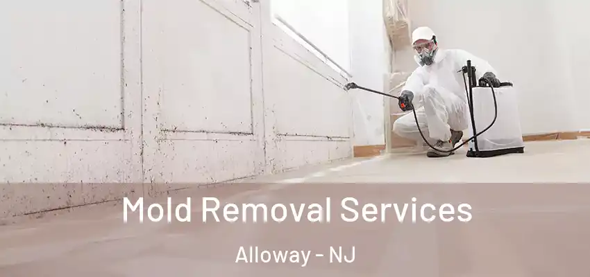  Mold Removal Services Alloway - NJ