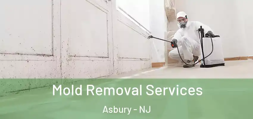 Mold Removal Services Asbury - NJ