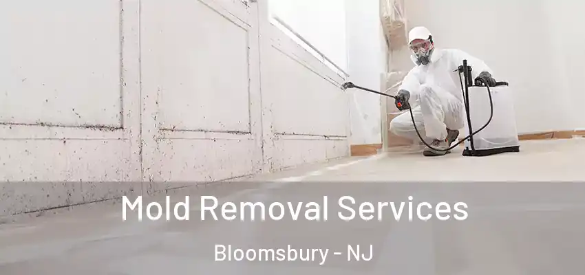  Mold Removal Services Bloomsbury - NJ