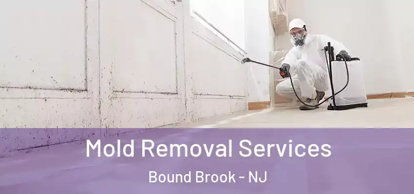  Mold Removal Services Bound Brook - NJ