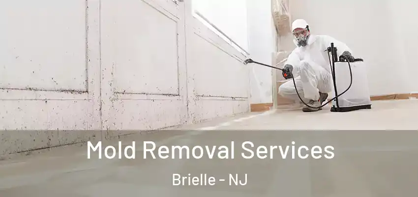  Mold Removal Services Brielle - NJ