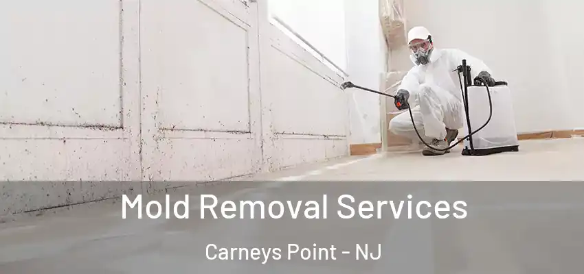  Mold Removal Services Carneys Point - NJ