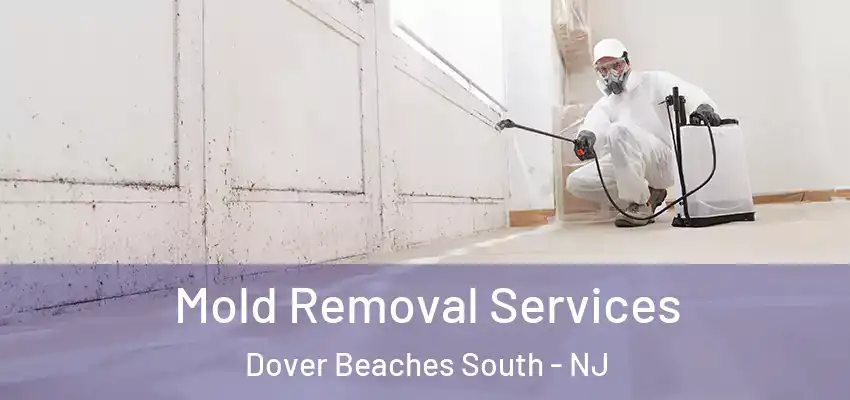 Mold Removal Services Dover Beaches South - NJ