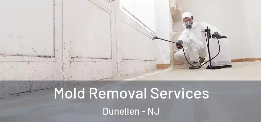  Mold Removal Services Dunellen - NJ