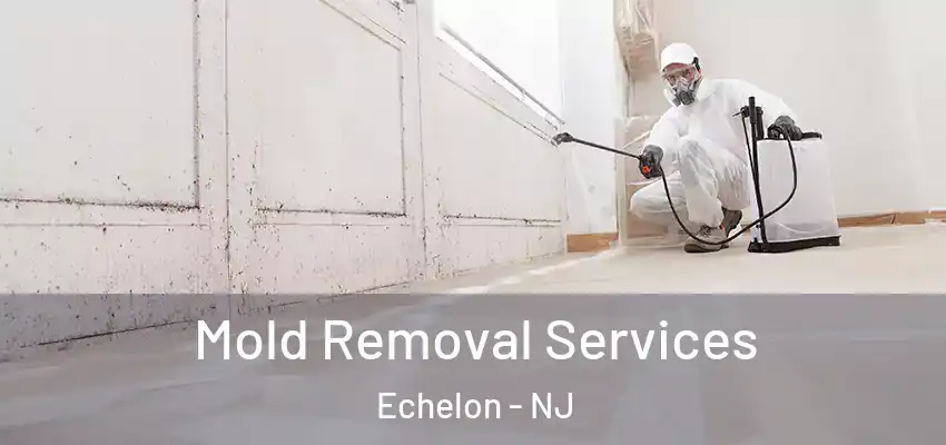  Mold Removal Services Echelon - NJ