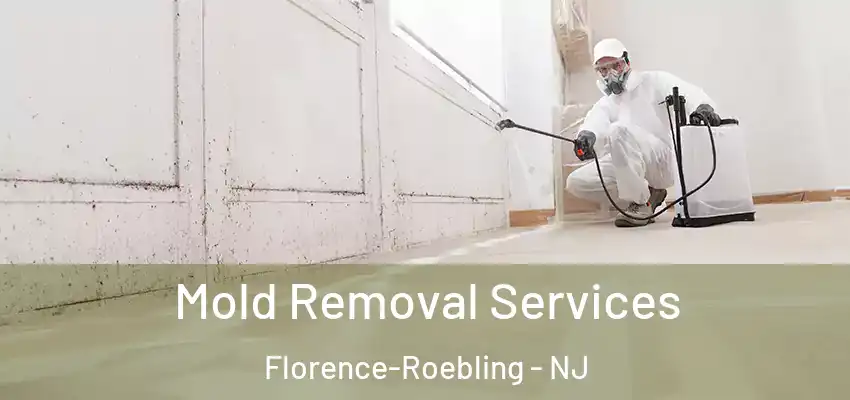  Mold Removal Services Florence-Roebling - NJ