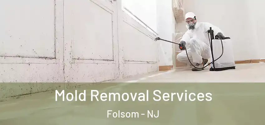  Mold Removal Services Folsom - NJ