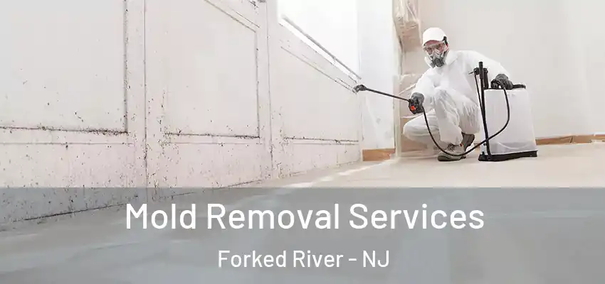  Mold Removal Services Forked River - NJ