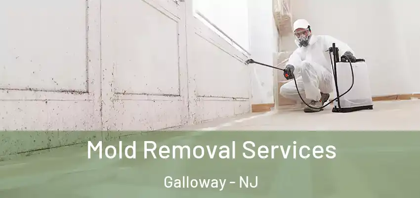  Mold Removal Services Galloway - NJ
