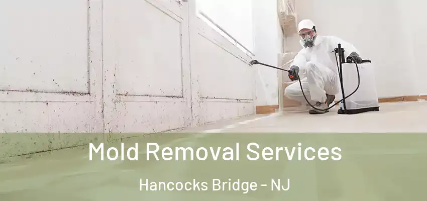 Mold Removal Services Hancocks Bridge - NJ