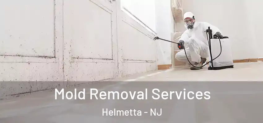 Mold Removal Services Helmetta - NJ