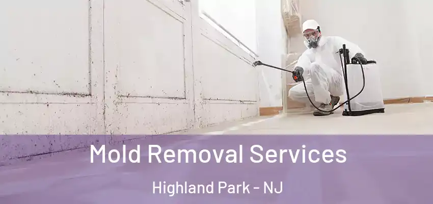  Mold Removal Services Highland Park - NJ