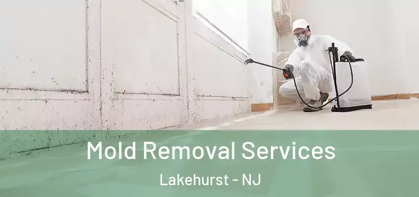 Mold Removal Services Lakehurst - NJ