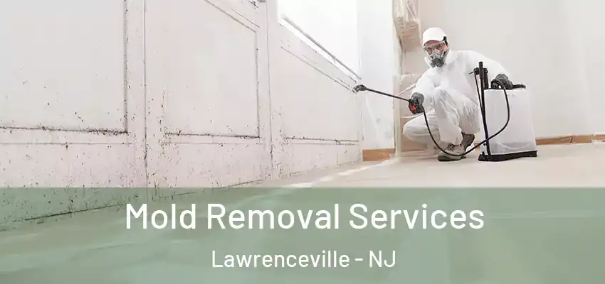 Mold Removal Services Lawrenceville - NJ