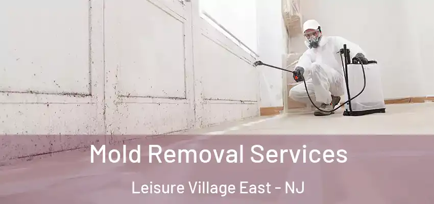 Mold Removal Services Leisure Village East - NJ