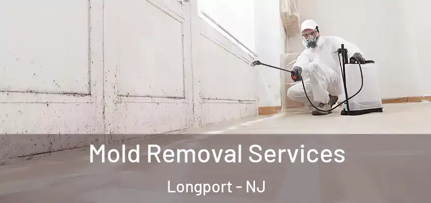 Mold Removal Services Longport - NJ