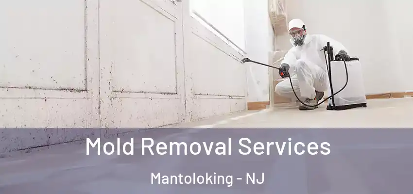  Mold Removal Services Mantoloking - NJ