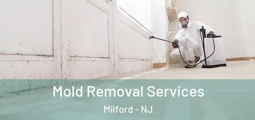 Mold Removal Services Milford - NJ