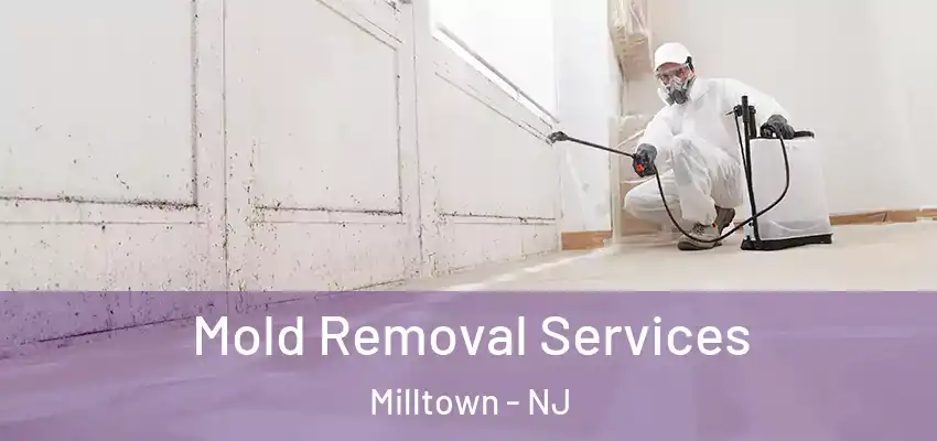 Mold Removal Services Milltown - NJ