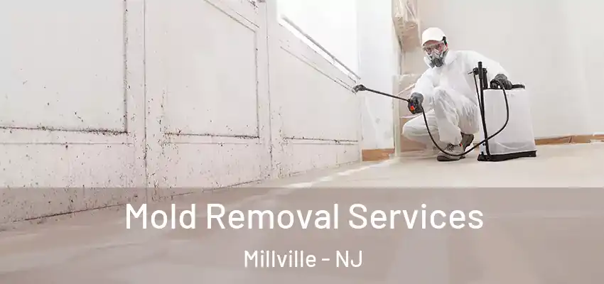 Mold Removal Services Millville - NJ