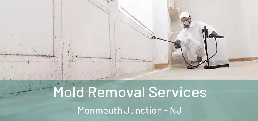 Mold Removal Services Monmouth Junction - NJ