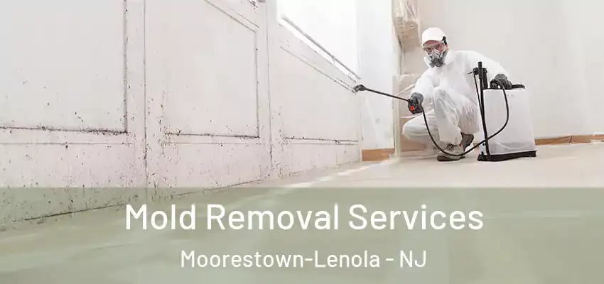 Mold Removal Services Moorestown-Lenola - NJ